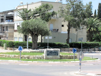 Haifa Upper City